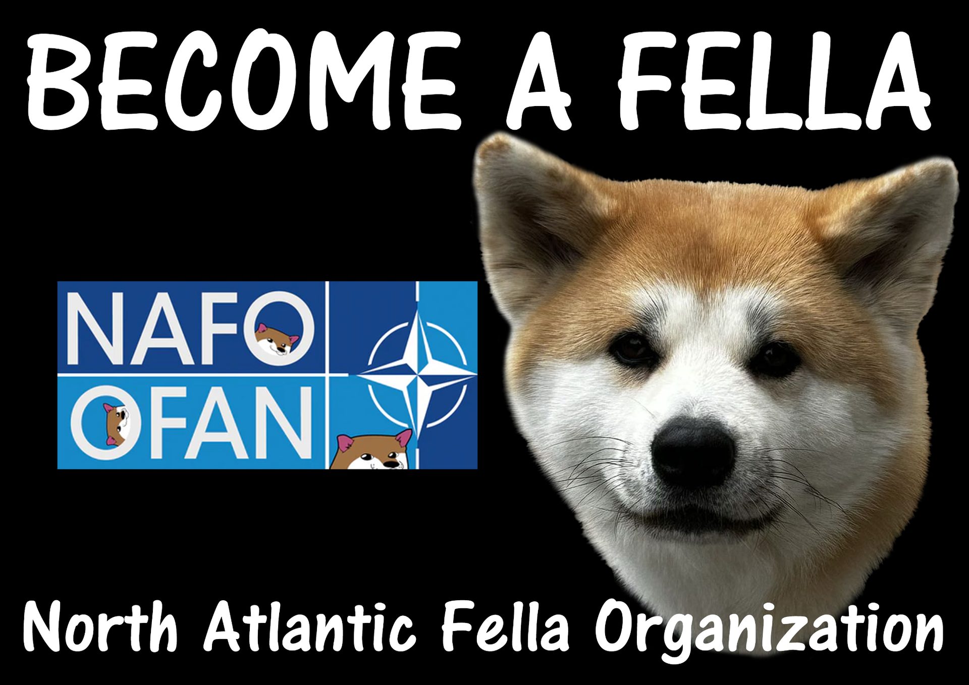 Become a Fella